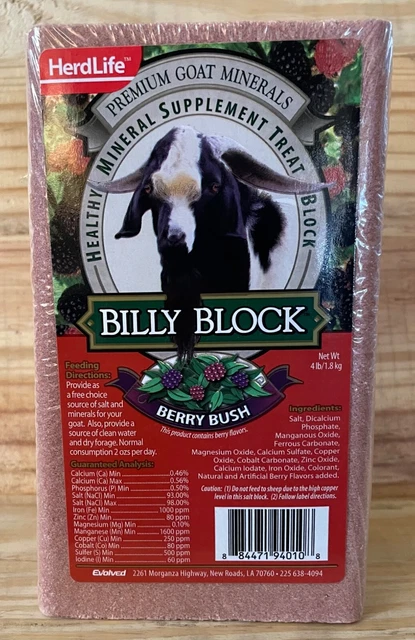 Evolved Habitats HerdLife Billy Block Berry Bush 4lbs