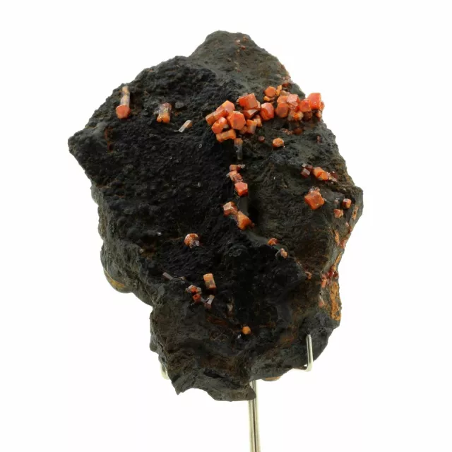 Vanadinite + Goethite. 2174.0 Ct. Taouz ,Draa-Tafilalet,Marocco