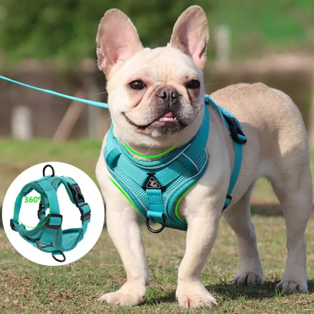Puppy Dog Harness Vest and Leash Set Cat Harness Reflective Mesh Pet Chest Strap
