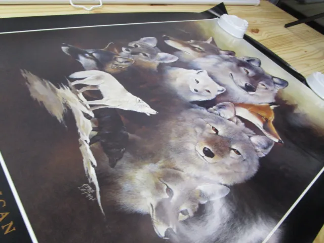 92 Vintage Eddie LaPage North American Wolves, Coyotes & Foxes Poster 36" by 24"