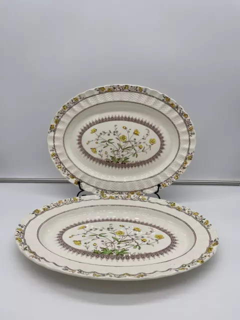 Spode Buttercup Oval Serving Platter 2 Piece Set 14-3/4"  Old  Backstamp Vintage