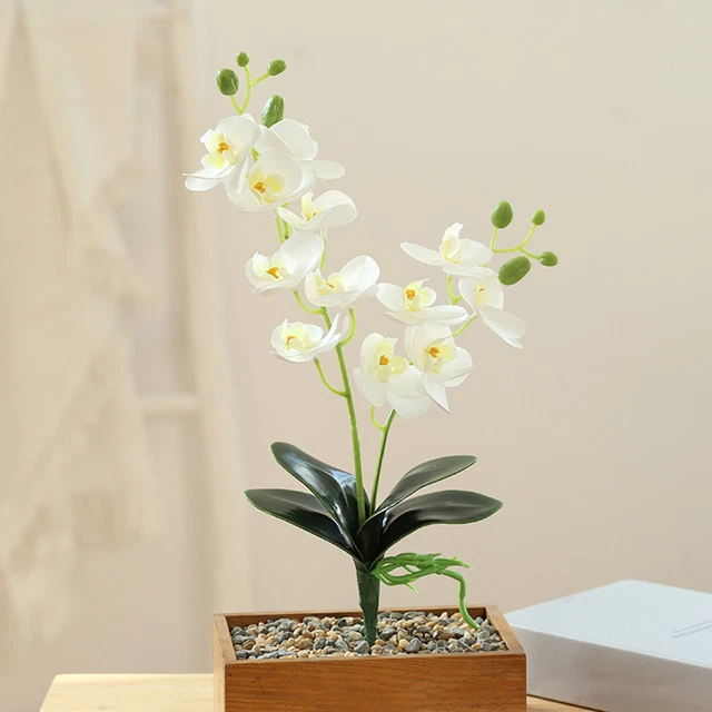 Fiore finto vero tocco ornamentale orchidea colorata decorazione pianta finta eco-friendly
