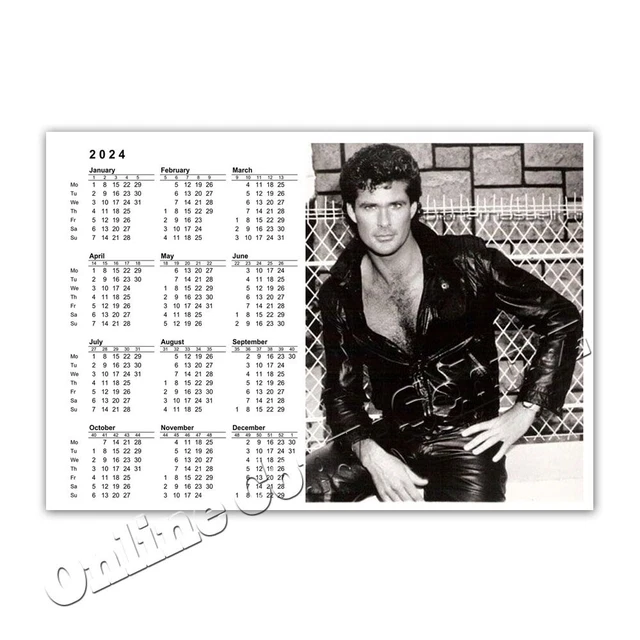 DAVID HASSELHOFF FROM Knight Rider + Baywatch + pocket calendar
