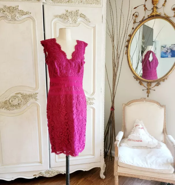 Tadashi Shoji Carla Embroidered Lace Sheath Dress Pink Size 10 Party Wedding