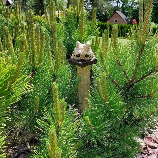Lustige Gartenstatuen Harz Gartendeko für Kunstdekoration (Straußenkopf)
