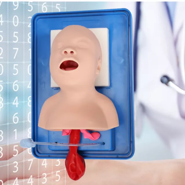 Intubation Manikin Study Teaching Baby Model Airway Management Trainer with Tube