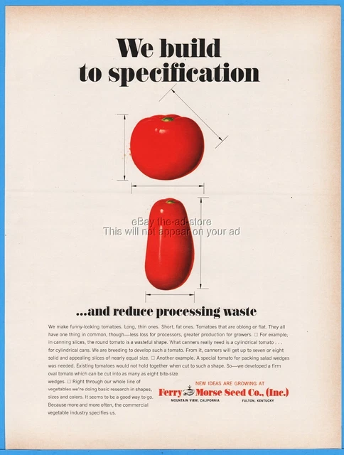 1968 Ferry-Morse Seed Co Mountain View CA Fulton KY tomato gardening theme ad