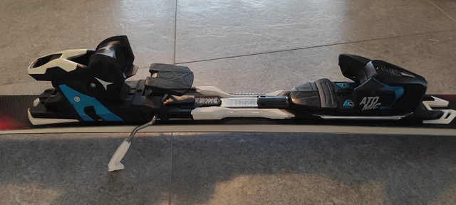 Atomic Ski Redster GS, 169, Titaniumchanels,Woodpower-Kern 3