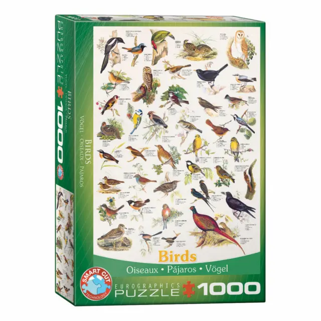 Eurographics Puzzle Oiseaux, monde animal, Birds, 1000 pièces, 68 x 48 cm, 60...