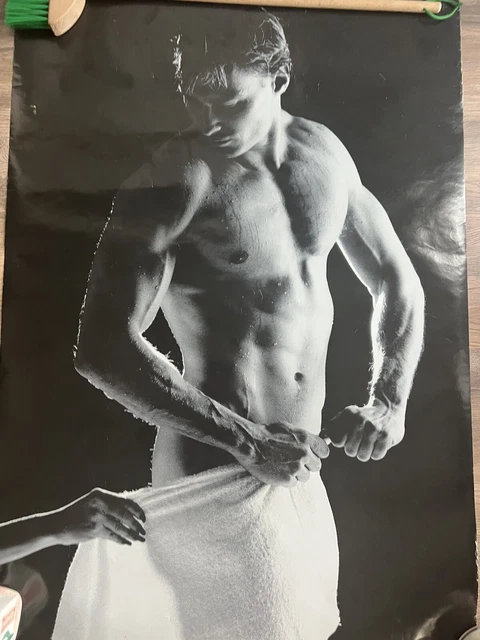 VINTAGE POSTER GAY  interest barry rosen 1980s reach for it towel butt