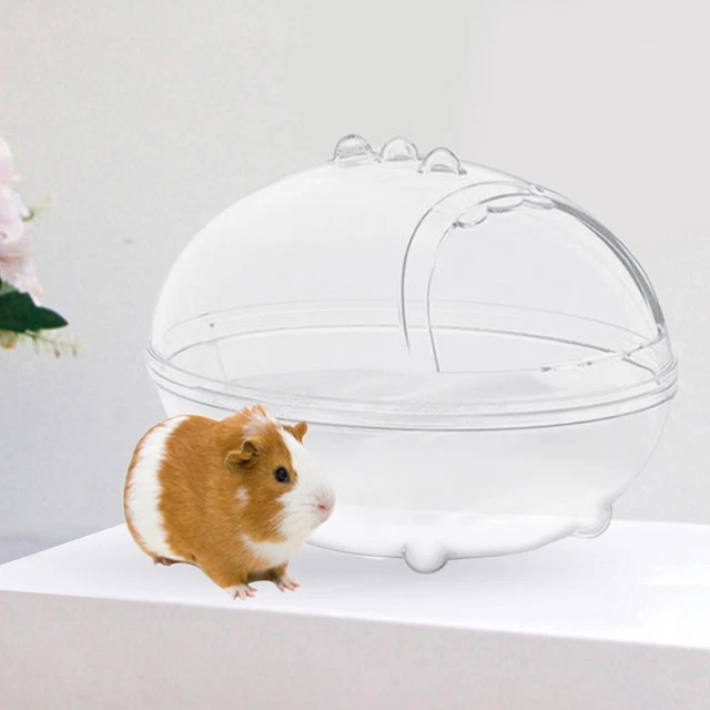 Hamster Sable Bain Toilette Pet Salle De Bains Maison De Bain Pour Écureuils
