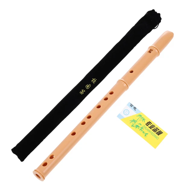 Girello Evolutivo 3 In 1 Per Bambini | Pieghevole, Con Scatola Musicale Rimovibile E Cappuccio Girevole 360° | Maniglia Di Spinta Regolabile In Altezza (Rosa)