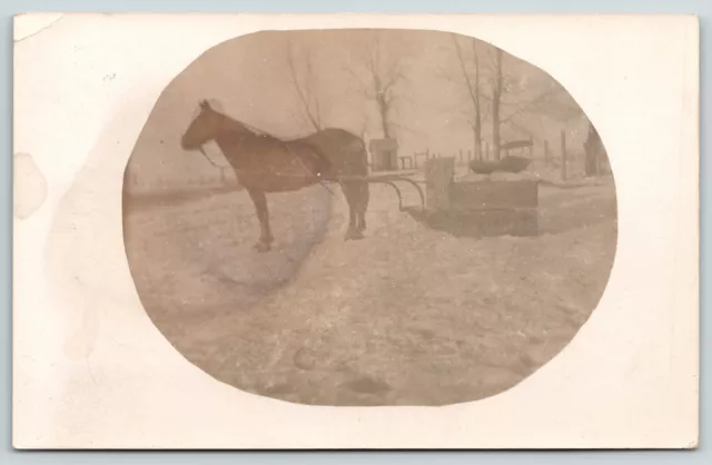 Vermillion SD~Horse Drawn Box Sleigh~Snow Sled~Working for Uncle Sam~1910 RPPC