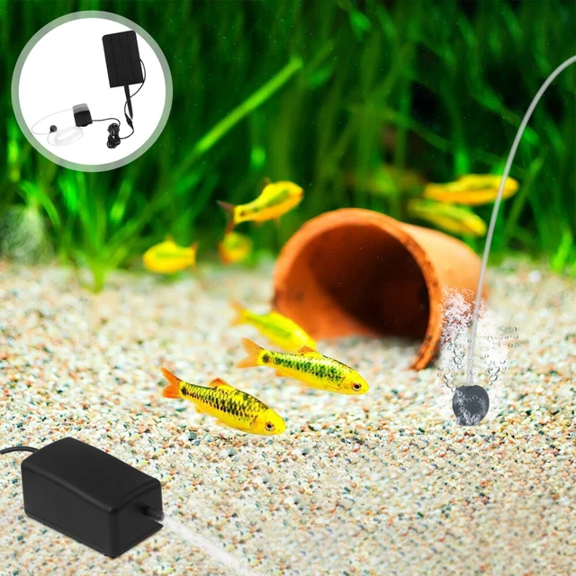 Pompa Solare Galleggiante Esotec 1,8W Con Ninfea &ndash; Per Laghetto Giardino &ndash; Seconda Scelta