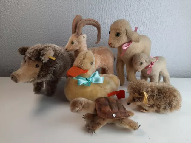 7x Steiff Tiere Konvolut teils ID's, 2x Lamby, Slo, Rocky, Igel, Wildschwein,