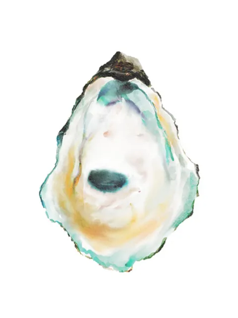 Oyster Shell Watercolor Painting Poster Print, large beach wall art home decor