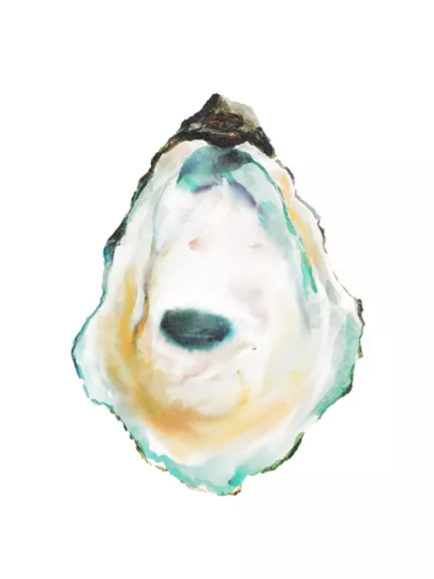 Oyster Shell Watercolor Painting Poster Print, large beach wall art home decor