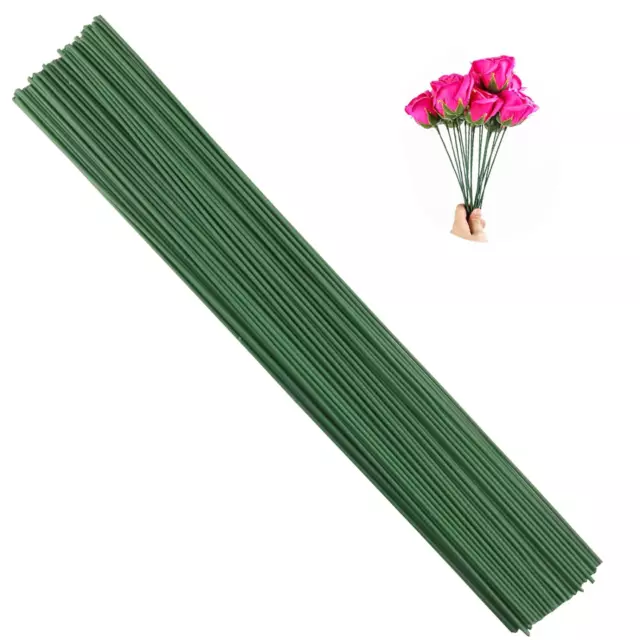 Arlai Pack of 50, Diameter 2mm Dark Green Paper Wrapped Floral stem Wire 16 Inch