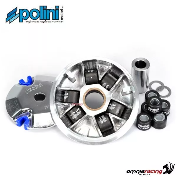 Polini-Variator f�r Peugeot Xfight 50 2T wassergek�hlt