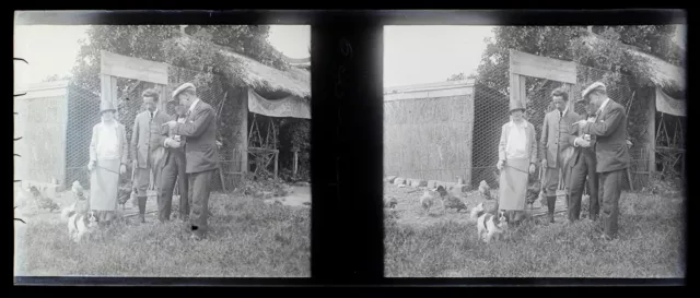 FRANCE Famille Poulailler Photo NEGATIVE c1930 Vintage Plaque verre P74L28n