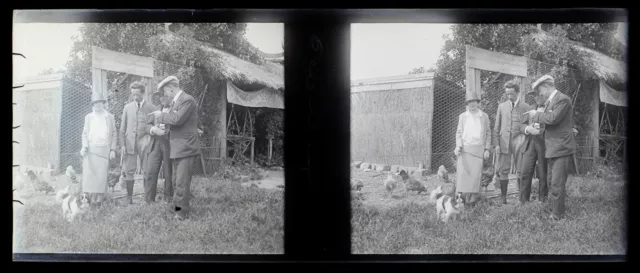 FRANCE family chicken coop photo NEGATIVE c1930 vintage glass plate P74L28n