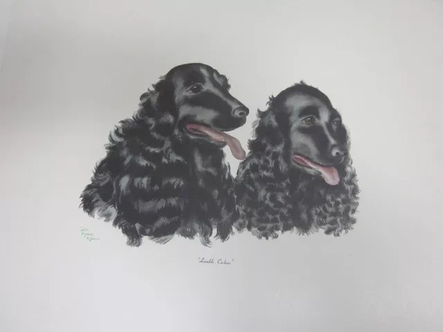 Cocker Spaniel Dog, Animal Art Reproduction, 1950's by Lila Moore Keen
