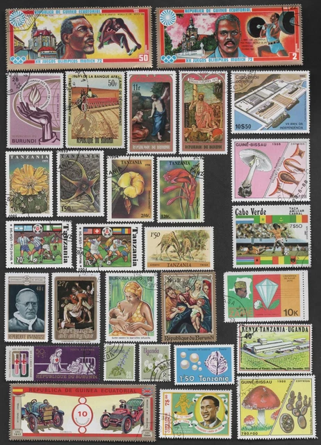 Afrika Kap Verden Hafen Äquatorial Guinea Giraffe Tanzania Blume Sport Kind Auto