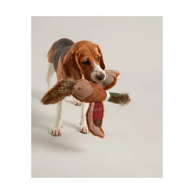 Joules Dog Toy Pheasant  Rope Tug Play Squeaky 2