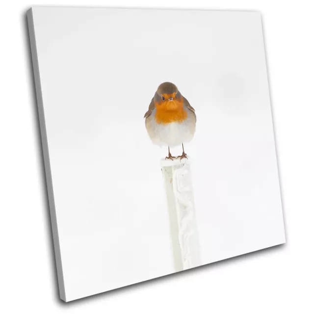 Robin Red Breast Animals SINGLE CANVAS WALL ART Picture Print VA