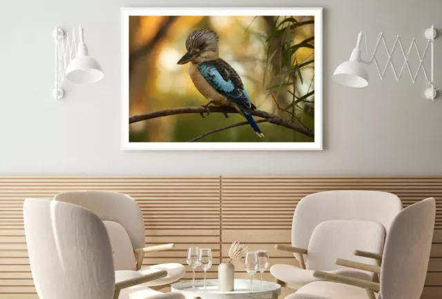 Kingfisher Bird Photograph Print Premium Poster High Quality choose sizes