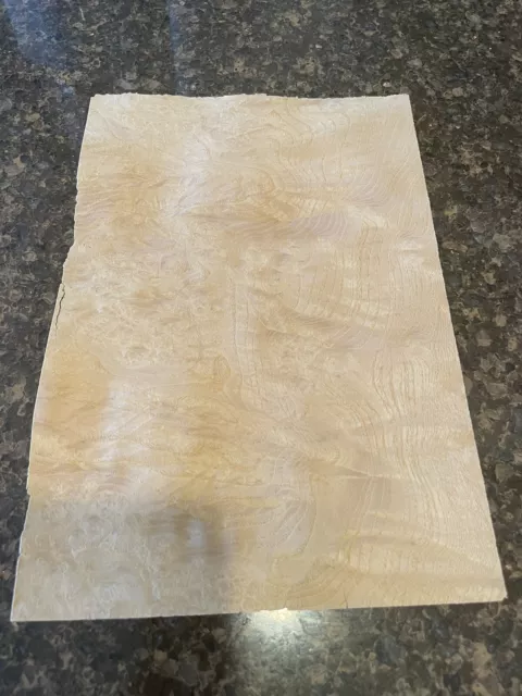 White Ash Burl wood veneer 5” X 8” raw no backer