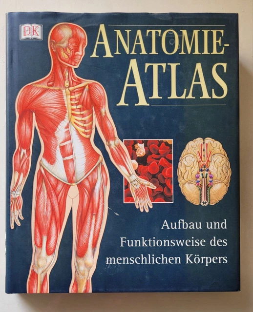 dk-anatomie-atlas-aufbau-und-funktionsweise-des-menschlichen