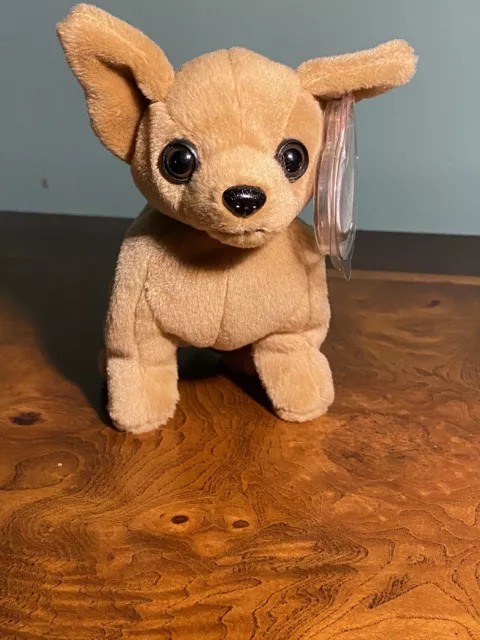 Ty Beanie Baby Tiny the Chihuahua Dog with Errors  Excellent Condition