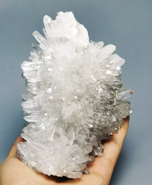 Natural Clear White Chrysanthemum Crystal Himalayan Quartz Cluster/Mineral