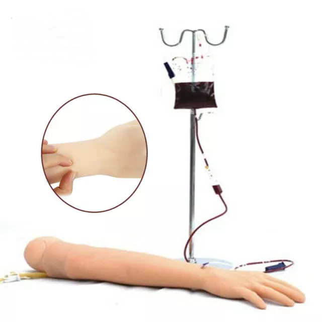 Adult Education Model Venipuncture Injection  Arm Training for Teaching Study