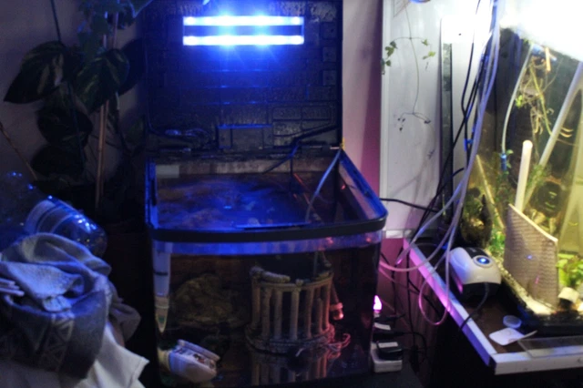 Small Fish Tank With Led Light