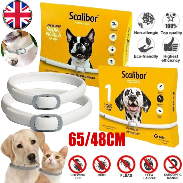 Best Natural Flea Collar For Cats BUDOCI Pack Small Cat Flea