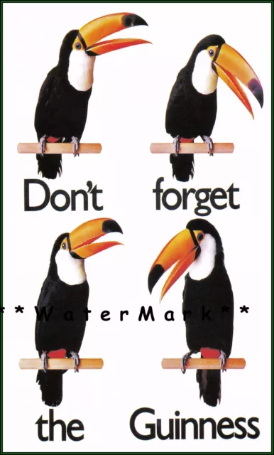 Don't Forget The Guinness Vintage Poster Print Retro Style Toucan Beer Advert