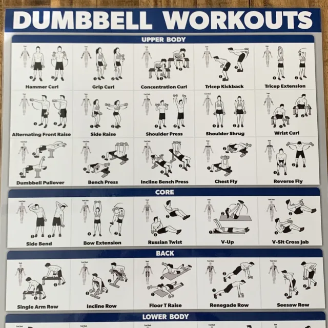 Dumbbell Workout Poster Laminated 17½" x 26½"