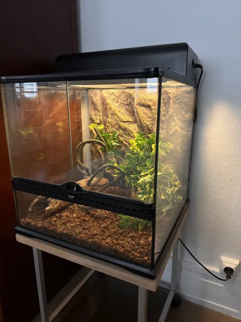 Terrarium EXO TERRA 45x45x45 + Éclairage + Sol Chauffant