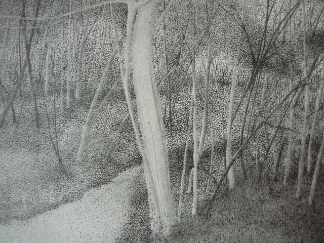 Silvana Martignoni, Il bosco e le sue stagioni, 1983, litografia originale