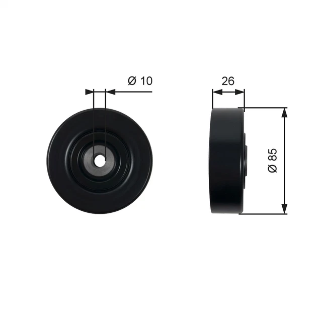 Galet Enrouleur (Courroie D'accessoire) Renault Vel Satis 3.0 Dci