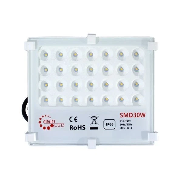 Faro LED SMD Con Ottiche Circolari Slim   30w Esterno IP66