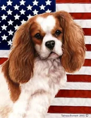 Patriotic (D2) House Flag - Blenheim Cavalier King Charles Spaniel II
