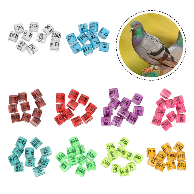 100 piezas Anillo de identificación de paloma de pollo muslo homing anillos coloridos correa para piernas
