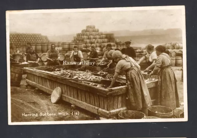 RP WICK CAITHNESS HERRING FISHER GIRLS  FISHING INDUSTRY SCOTLAND  c1912  #2720