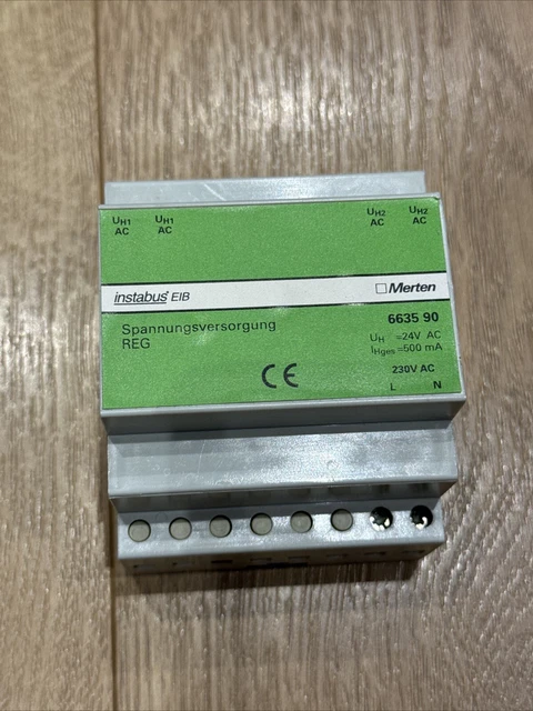 geigenfeige 2m Echte XXL Geigenfeige mit 2 Stämmen 120-130cm – Green Me Up main image 1