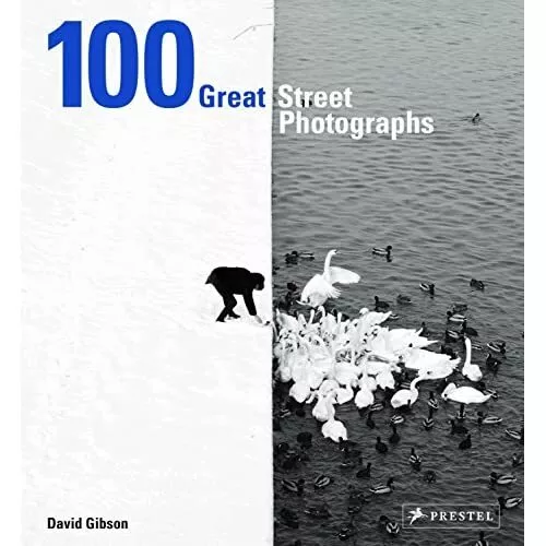 100 Great Street Photographs - Hardcover NEU Gibson, David 20.07.2017