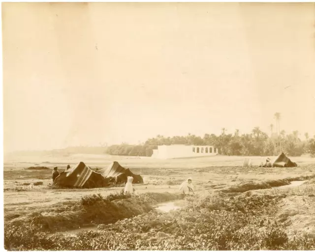 Algérie, Biskra Vintage albumen print.  Tirage albuminé  20x25  Circa 1880