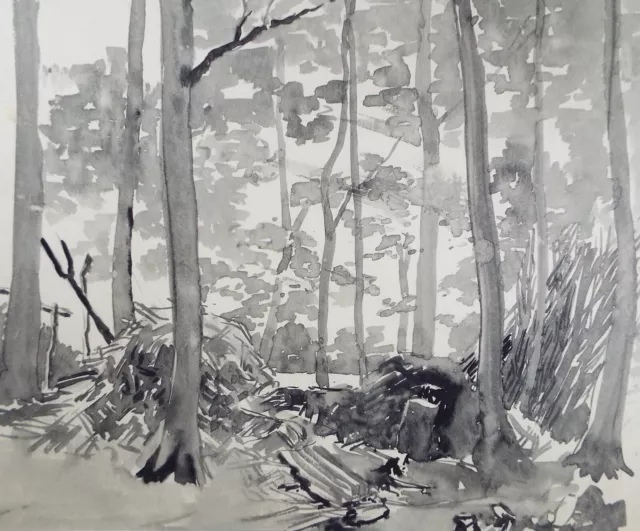 Original Watercolour, 'Bodger's Wood', Circa 1950's , Hilda Burford (1887-1957)